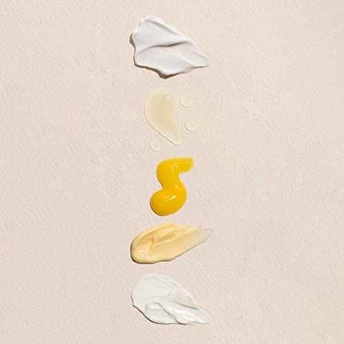Fleur & Bee Skincare Set, Discovery Set, 5 Deluxe Minis Moisturizers, Serums, Eye Cream | Skin Care Gift Set Vegan & Cruelty-Free | Travel Friendly