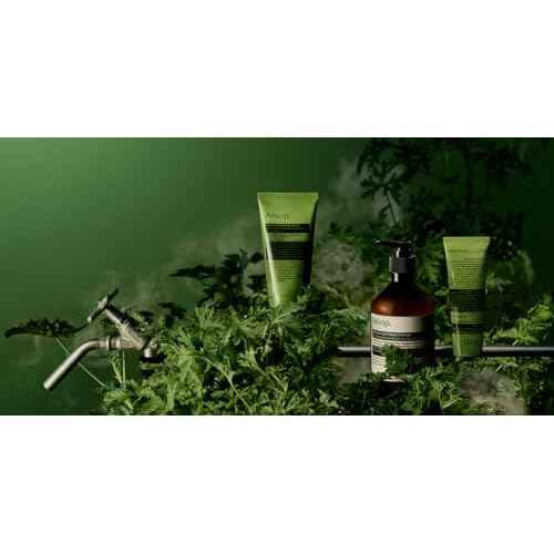Aesop Geranium Leaf Body Cleanser Refill | Invigorating Gentle Cleansing Gel | Green, Citrus, Fresh | 16.9 fl oz