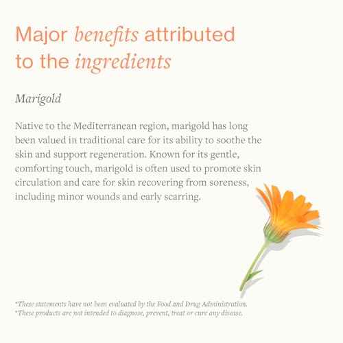 Swiss Just Cream 100ml, Nourishing Cream with Marigold Extract. Body Cream Promotes Cell Renovation & Improves the Appearance of Scarring & Stretch Marks