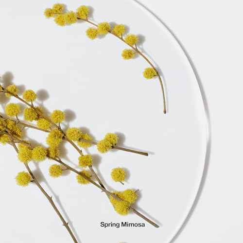 Clinique Happy Body Spritz | Notes of Grapefruit, Bergamot, Hawaiian Wedding Flower + Spring Mimosa | Women's Fragrance, 4.2 Fl Oz