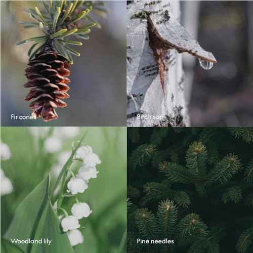 Skandinavisk Wash SKOG ¡®Forest¡¯ Scent notes: Pine needles and fir cones, birch sap and woodland lily of the valley, 16.91 fl. oz.