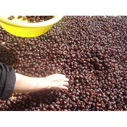 3 Pounds Organic De-seeded Soap Berries/Soap Nuts +2 Wash Bags