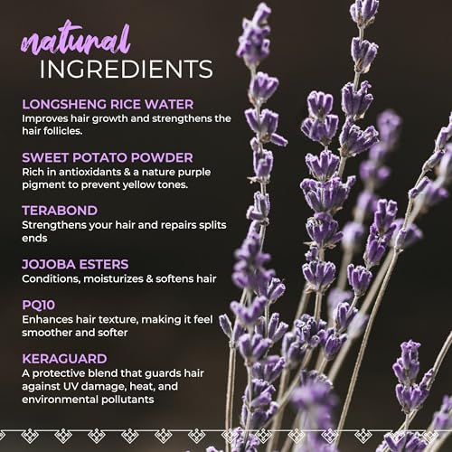 Viori Purple Shampoo Bar - Handcrafted with Longsheng Rice Water & Natural Ingredients - All Natural Shampoo Bar - Neutralizes Brassy Tones In Blonde Hair