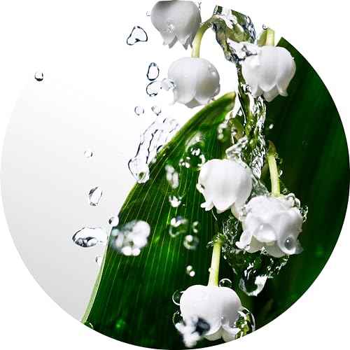 Davidoff Cool Water Eau de Toilette ? Fresh Floral Women's Perfume ? With Notes of Watermelon, Lily of the Valley & Musk ? Long Lasting Fragrance
