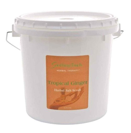 Soothing Touch W67365TG1 Salt Scrub Tropical Ginger, 10-Pound