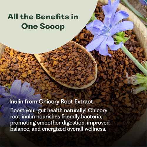 OralBiome 365 3-in-1 Chewable Oral Probiotics for Breath, Immune & Gut Health | Supports Teeth & Gums, Boosts Digestion & Immunity | with Zinc & Vitamin C | Vanilla Mint, 90 Servings