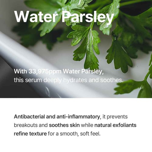 ROUME Balancing Water Parsley Serum 1.69 fl.oz. (50ml) – Korean Facial Serum for Oily Skin, Pore Tightening & Sebum Control, with 33,975ppm Water Parsley Extract, Brightening & Anti-Wrinkle
