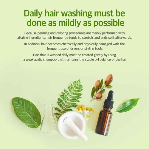 Kerasys Hair Clinic Tea Tree Oil 33.8 fl oz / 1L (Shampoo + Conditioner Set)