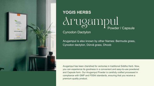 YOGIS HERBS Arugampul Powder - Bermuda Grass Powder - Cynodon Dactylon -1Lbfresh & Pure 1 Pound (Pack of 1)