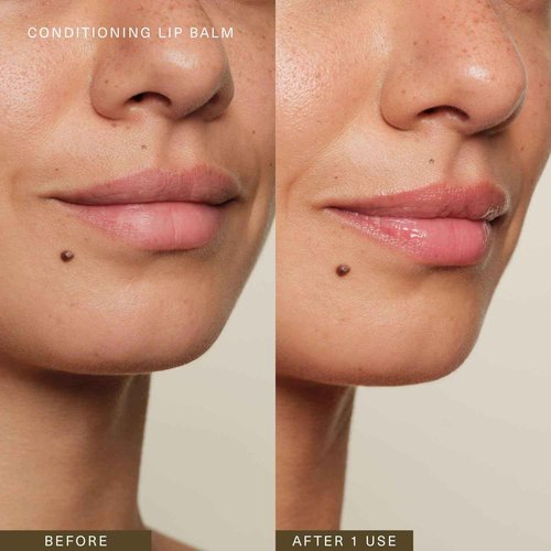 Oak Essentials Conditioning Lip Balm | Nourishing Antioxidant Lip Care with Shea Butter & Botanical Oils | Clean Moisturizing Balm for Dry, Chapped Lips, 3.6g