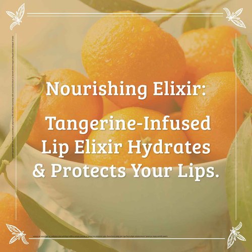 Pharmacopia Chamomile Tangerine Vegan Lip Elixir - Nourishing Vegan Herbal Lip Balm with 100% Natural and 70% Certified Organic Ingredients, 0.25 Oz, Pack of 3