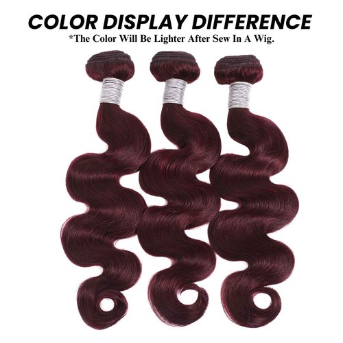 ALHER 99j Color Human Hair Bundles Body Wave, 12A Dark Burgundy Wine Red Colored Bundles Human Hair, 100% Unprocessed Virgin Remy Hair Soft Thick Single Wavy Bundle Sew In Double Weft 10 Inch