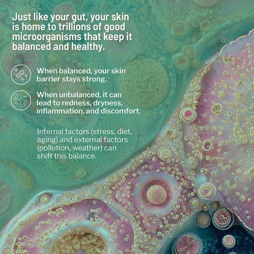 Dr. Brandt Skincare Clean Biotic, 3.5 oz.