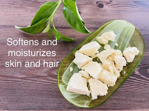 Oslove Organics Cupuacu butter -Pure and Natural 8oz Fresh, Rich and Creamy in DIY mixes | Vegan butter | Use for whipped body butters, salves, lotions & soaps.