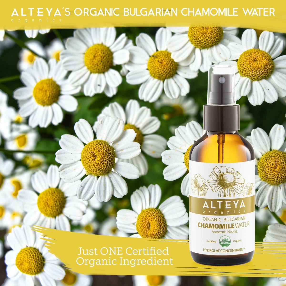 Organic Chamomile Water for Skin & Hair Hydrating Soothing 4 Fl Oz