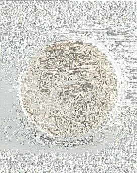 Caviar Day Cream - 1 Oz