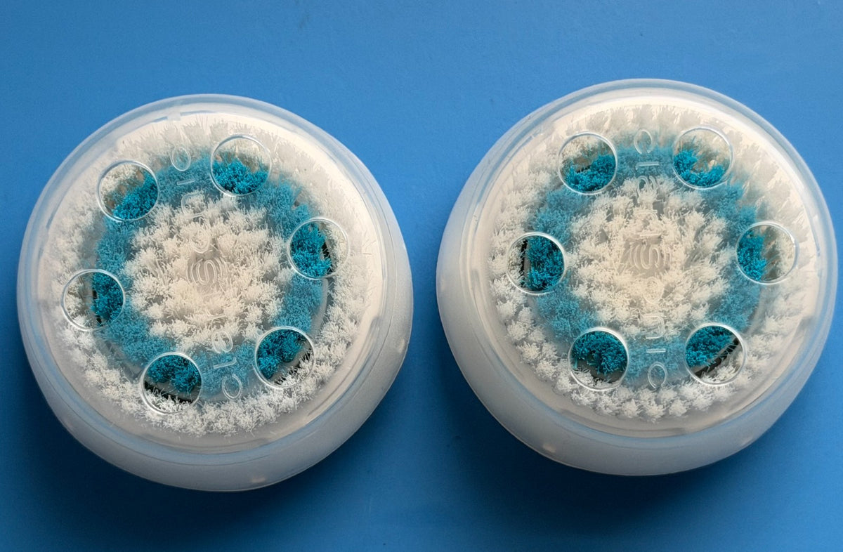 Deep Pore Brush Head for Face Cleansing - Blue, 2 Pack