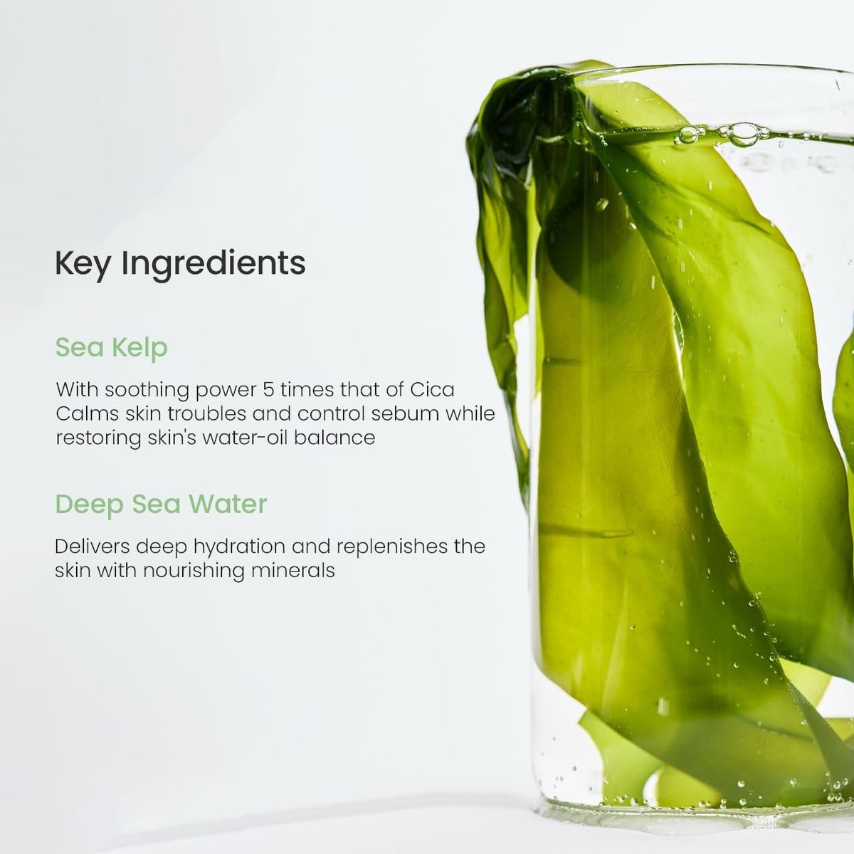 Sea Kelp Deep Hydration Face Mask Sheet