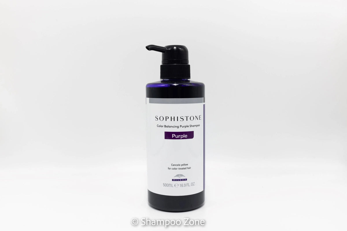 Purple Hair Shampoo 16.9 oz for Color Protection & Brassiness Reduction