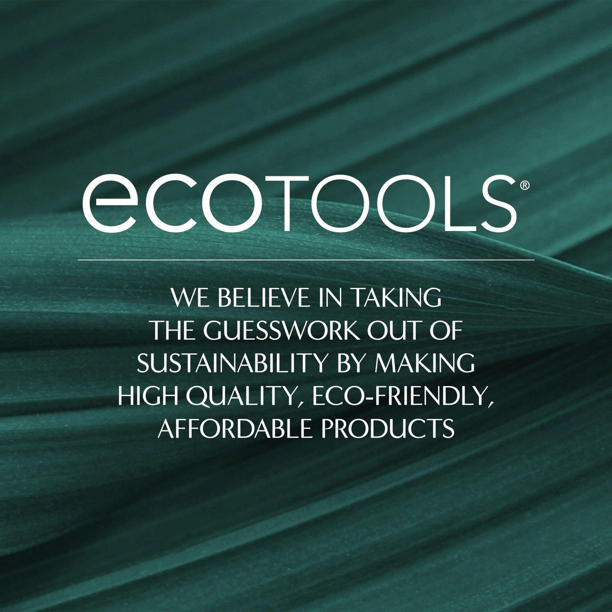 EcoTools Daily Defined Eye Makeup Brush Set - 5 Vegan Eco-Friendly Brushes