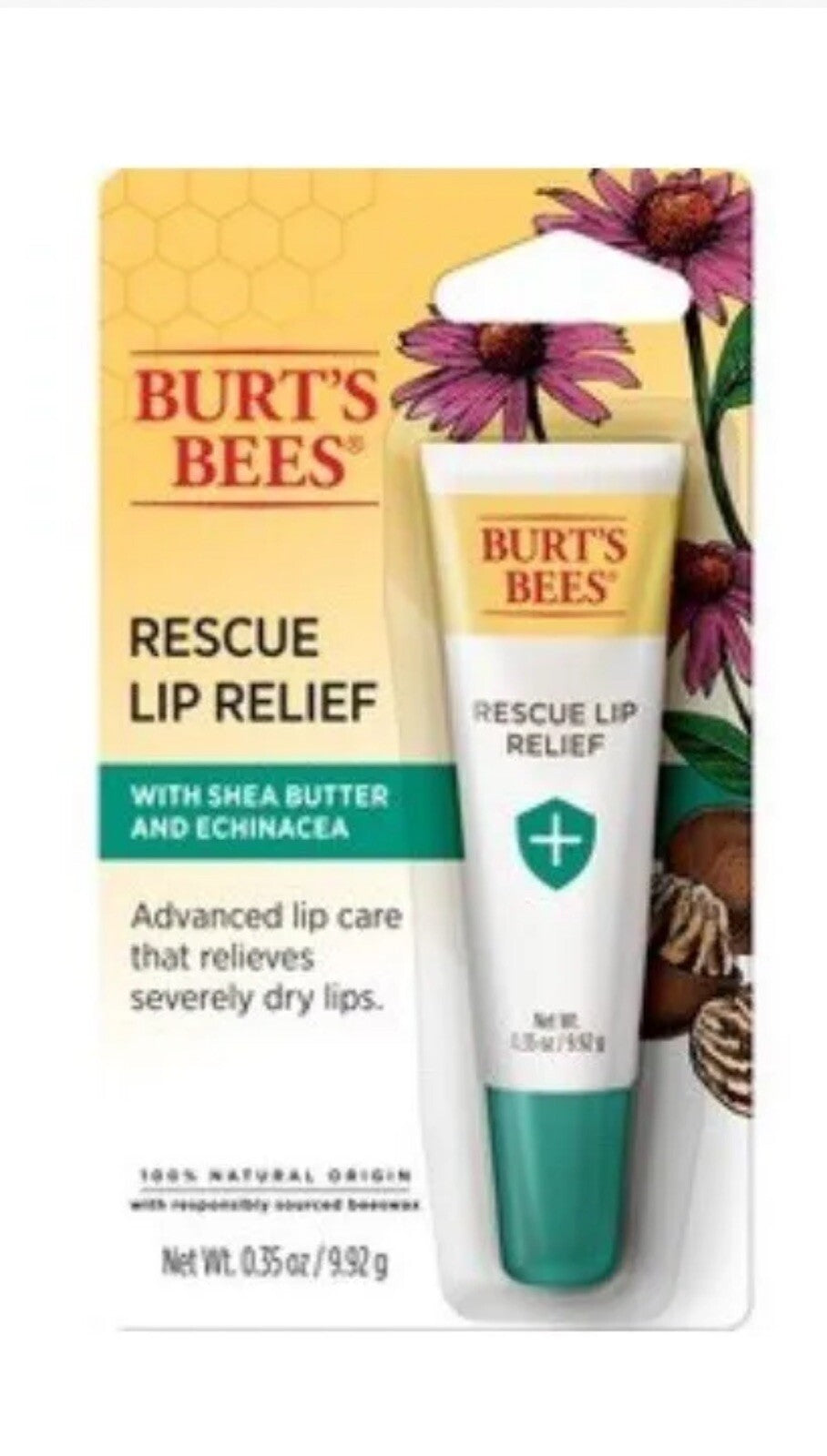 Lip Balm Shea Butter Echinacea for Dry Lips Natural Relief