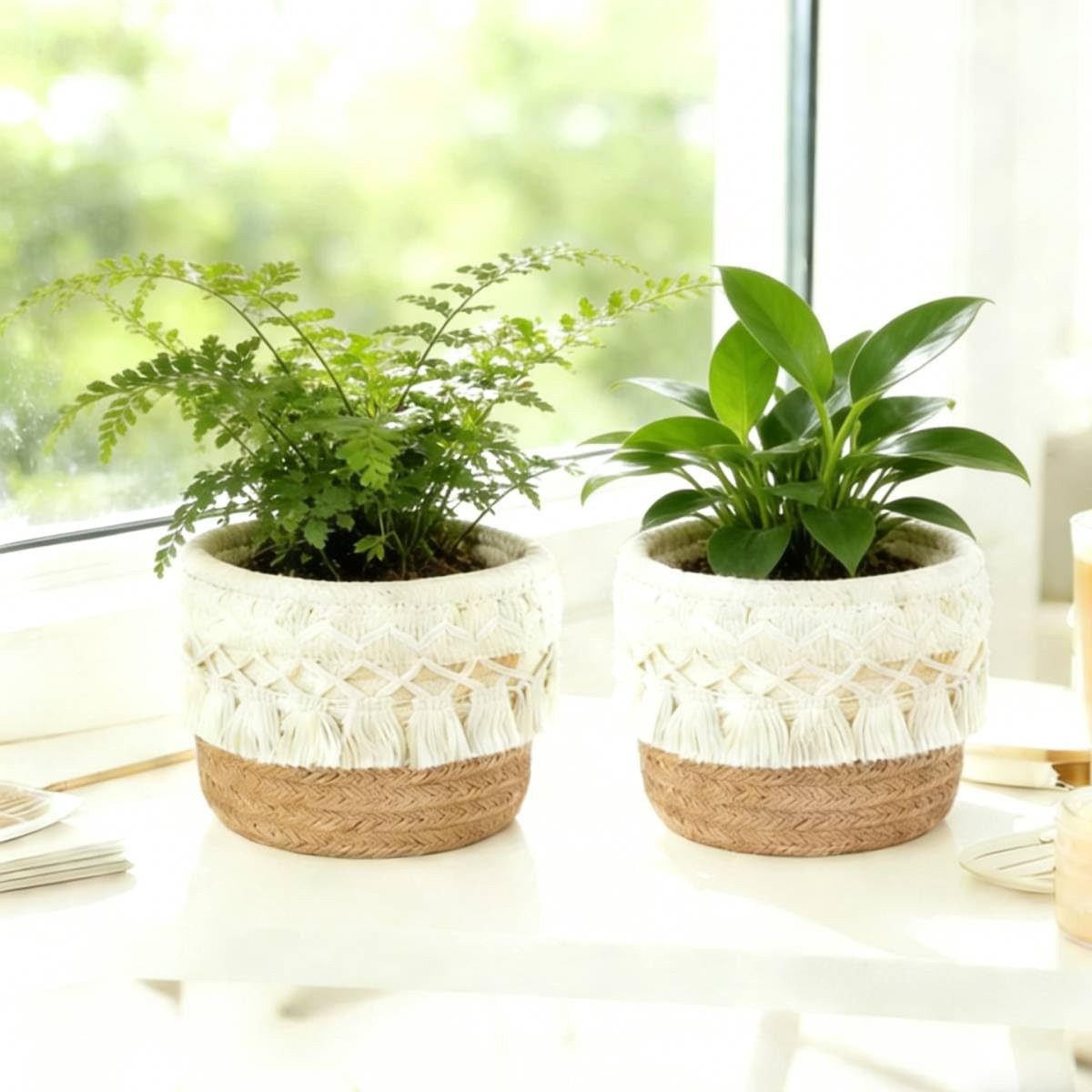Macrame Makeup Brush Holder Organizer Set - Boho Decor Storage, White & Brown
