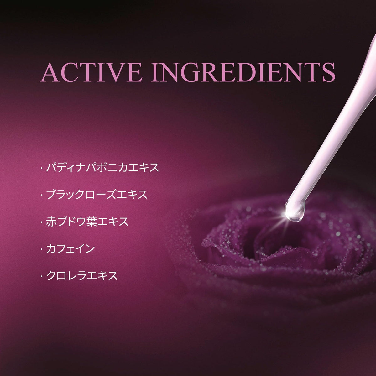 Anti-Aging Eye Cream with Black Rose Extract - Hydrating & Brightening 14 mL