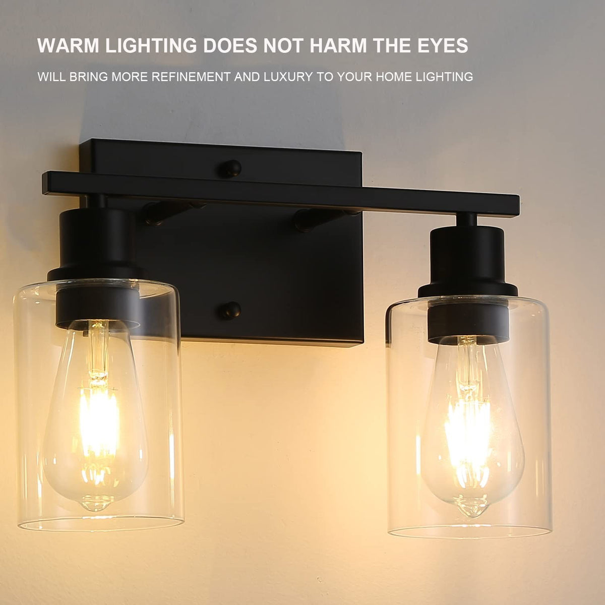2-Light Matte Black Bathroom Vanity Light Fixtures with Clear Glass Shades