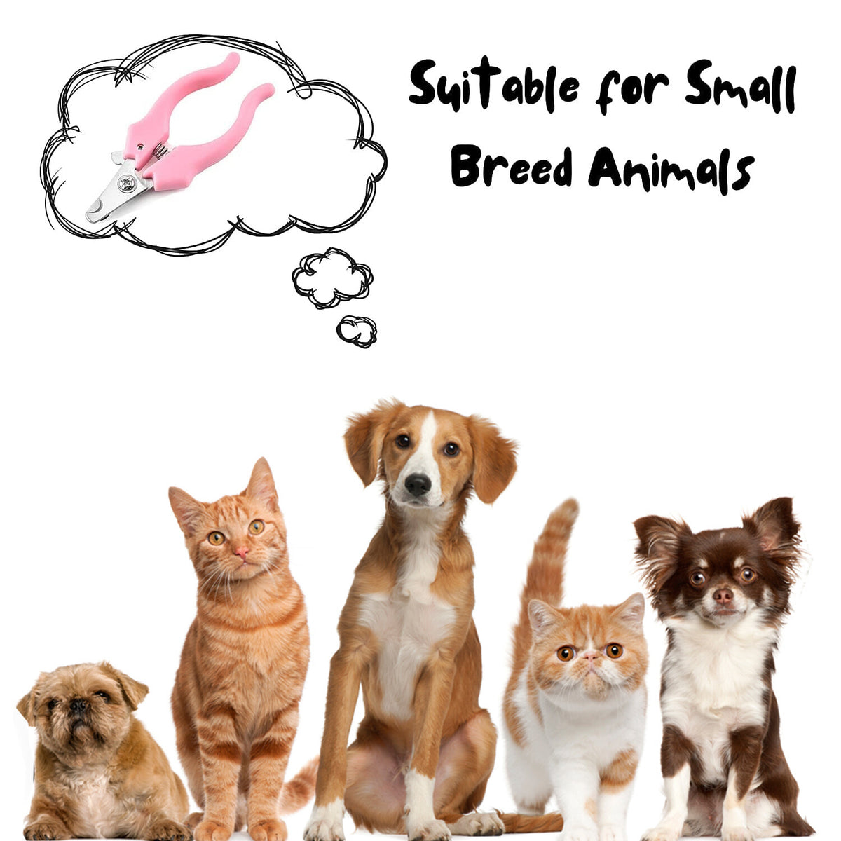 Pet Nail Clipper - Cat, Dog & Small Animal Grooming Tool