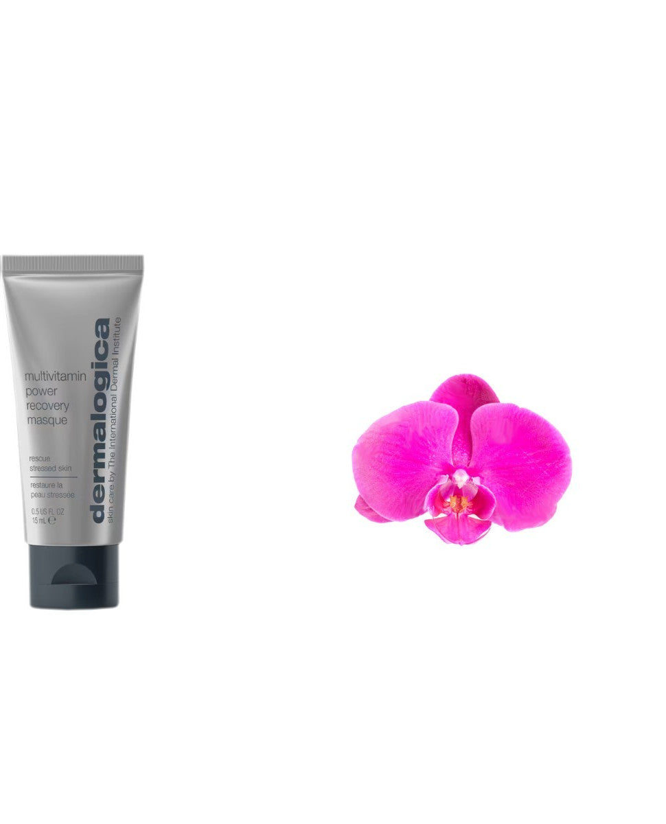 Dermalogica Multivitamin Power Recovery Masque 15ml - Nourishing Skin Treatment