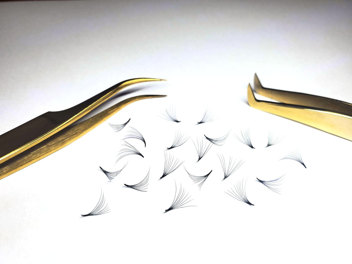 Premade Volume Eyelash Fans 10D 0.07 C and D Curl Black Lash Extensions