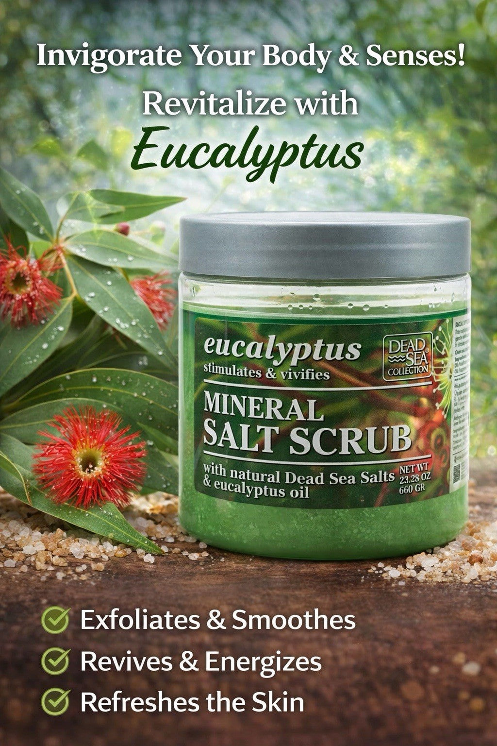 Dead Sea Collection Eucalyptus Exfoliating Mineral Salt Scrub (23.28