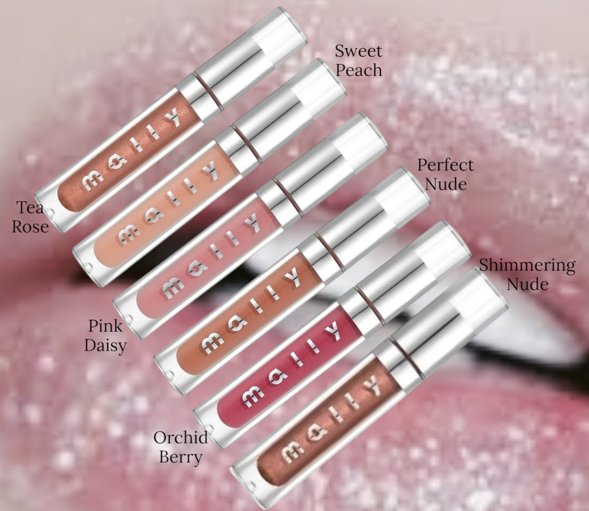 Full Size Lip Gloss Set - Multiple Shades - Pack of 2