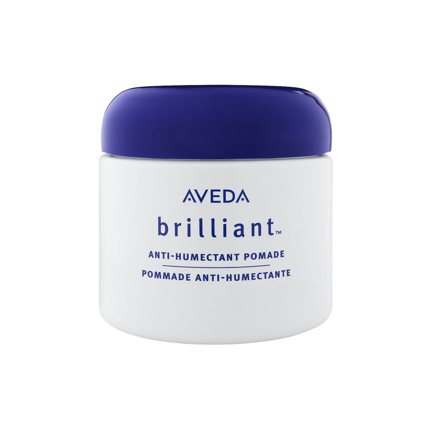 Aveda Anti-Humectant Pomade 2.6 oz. Moisture-Resisting Hair Styling Product