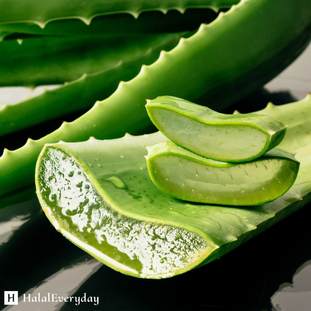 Aloe Vera Gel 4 oz - 100% Pure Organic Moisturizer