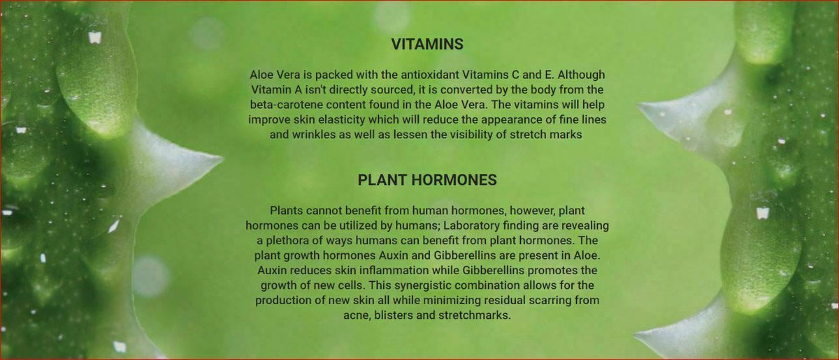Pure Aloe Vera Gel - 100% Organic Moisturizer