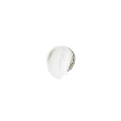 R?Vive Le Polish Exfoliating Face Scrub - Resurfacing Facial Exfoliant for Glowing Skin - Helps to Refine, Smooth & Polish Skin Surface - Enriched with Nourishing Shea Butter & Green Tea (2.5 fl oz)