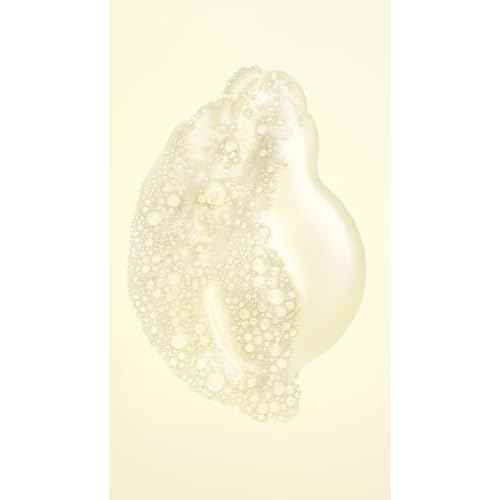 Oribe Hair Alchemy Resilience Shampoo