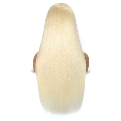 613 13x6 Lace Front Wig Human Hair 200 Density Blonde Wig Human Hair 613 HD Lace Frontal Wigs Human Hair Pre Plucked HD Lace Frontal Wig Straight Glueless (28 Inch)