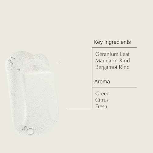 Aesop Reverence Aromatique Hand Wash & Geranium Leaf Body Cleanser | Paraben, Cruelty-Free & Vegan | 500mL/16.67oz (Set of 2)