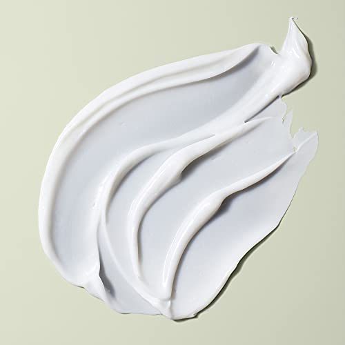 DevaCurl One Condition Decadence Ultra-Rich Cream Conditioner | Fights Tangles | Controls Frizz | Maintains Shine