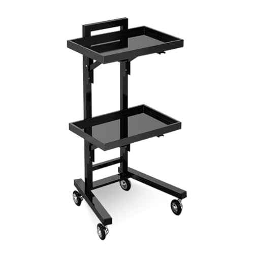 Acrylic Salon Tray on Wheels for Tattoo Medical Dental, Rolling Tray Salon Trolley Beauty Hair Lash Cart Mayo Stand (Black)