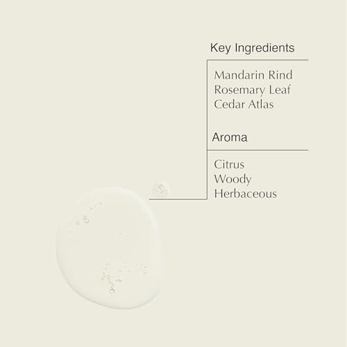 Aesop Resurrection Aromatique Hand Wash & Refill | Non-Drying Gentle Gel Hand Wash with Orange, Rosemary and Lavender Oils | 16.9oz / 500mL (Pack of 2)