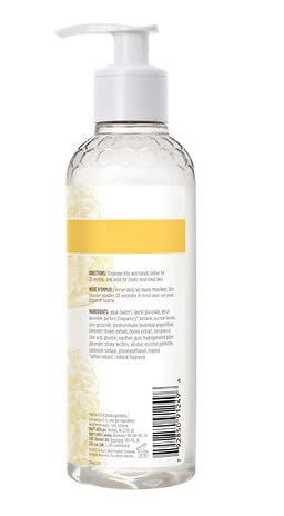 Burt's Bees Naturally Clean Hand Soap