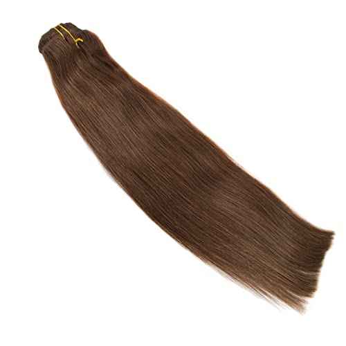 Clip In Hair Extensions Real Human Hair Brown Natural Remy Hair Straight 4# 20" 100gm (20", 4#-Medium Brown)