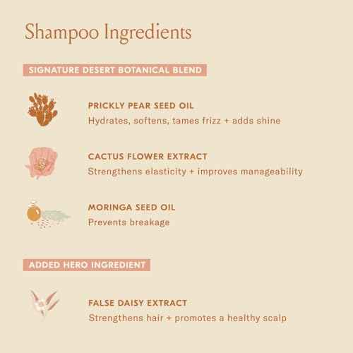 DAE Signature Duo Set (Shampoo & Conditioner)