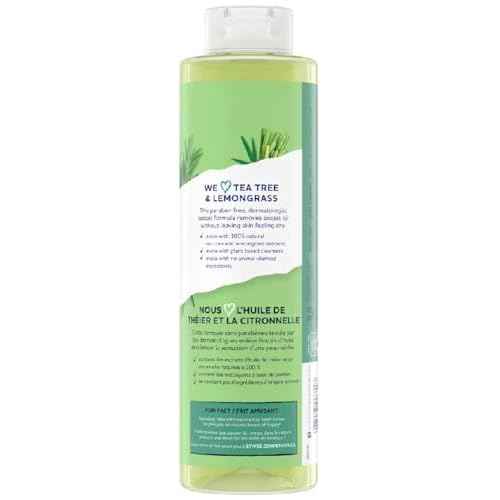 St. Ives Purifying Body Wash Tea Tree And Lemongrass 22 Fl oz - PACK OF 2
