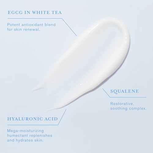 DERMAdoctor Redness & Itchy Skin Relief Calm Cool + Corrected Tranquility Cream for Sensitive Skin | moisturizing face cream Hydration with Squalane & Hyaluronic Acid White Tea Extract ? 1.7oz