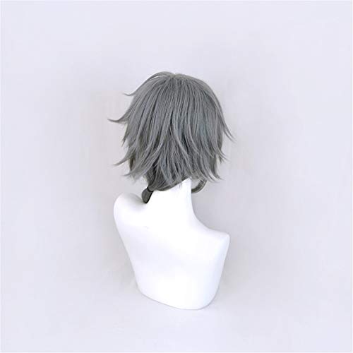 Xingwang Queen Anime Cosplay Wig Long Gray Blue Mixed Ponytail Halloween Party Wigs