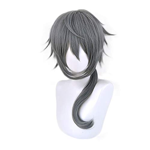 Xingwang Queen Anime Cosplay Wig Long Gray Blue Mixed Ponytail Halloween Party Wigs